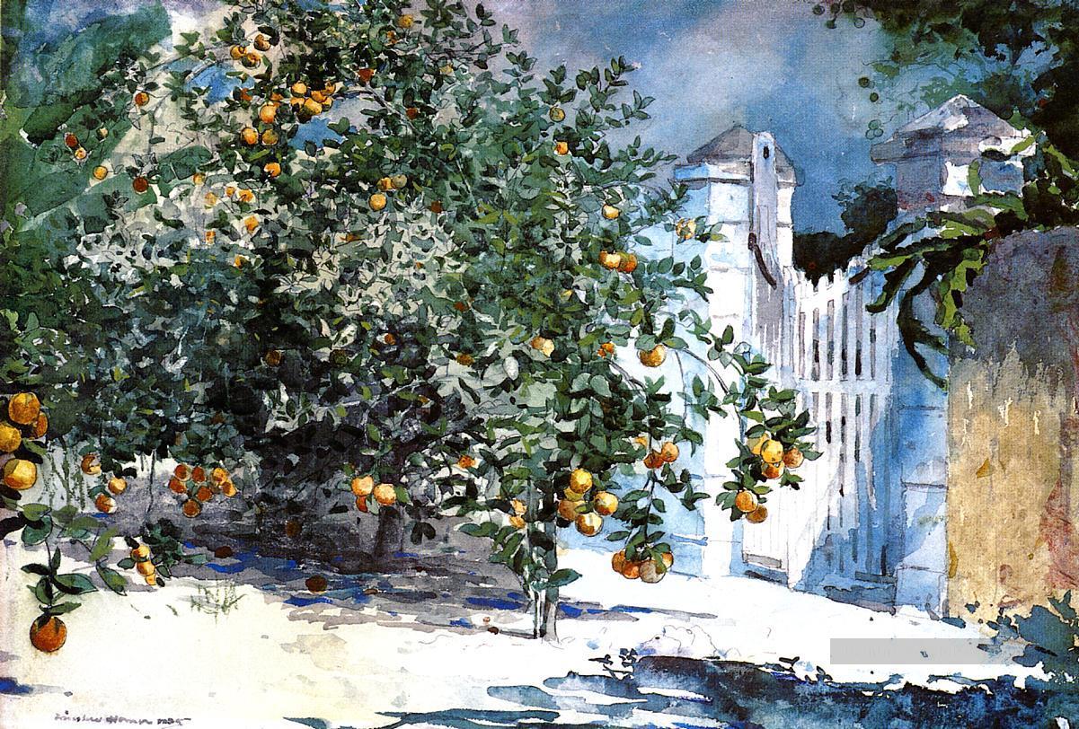 Orange Tree Nassau aka Orange Arbres et porte réalisme peintre Winslow Homer Peintures à l'huile